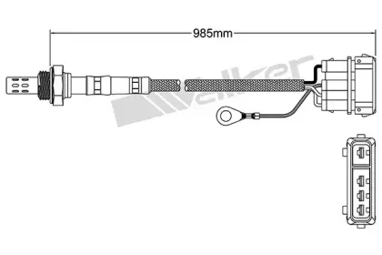 walkerproducts-25023822
