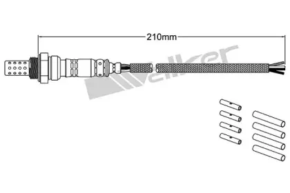 walkerproducts-25024000