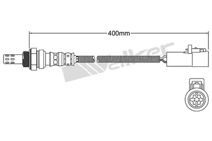 walkerproducts-25024001