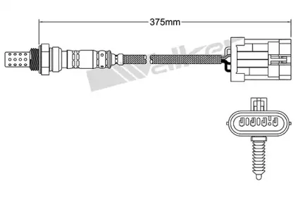 walkerproducts-25024012