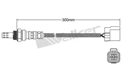 walkerproducts-25024020