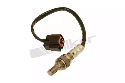 walkerproducts-25024020
