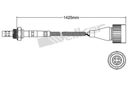 walkerproducts-25024021