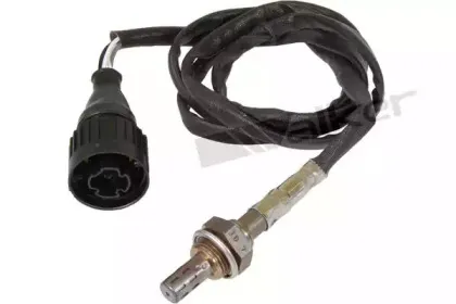 walkerproducts-25024021