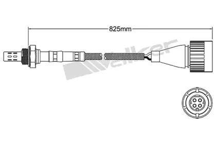 walkerproducts-25024025