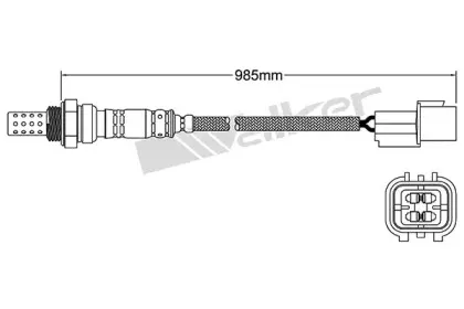 walkerproducts-25024026