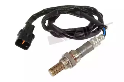walkerproducts-25024026
