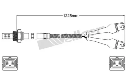 walkerproducts-25024030