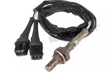 walkerproducts-25024030