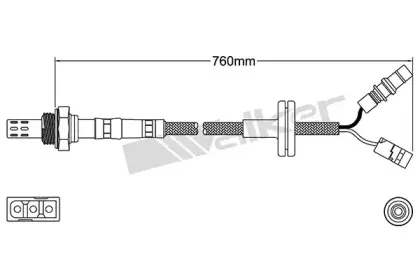 walkerproducts-25024034