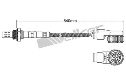walkerproducts-25024044