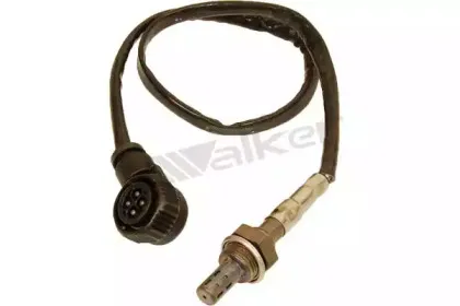 walkerproducts-25024044