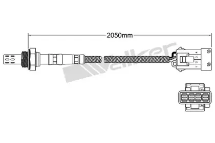 walkerproducts-25024048