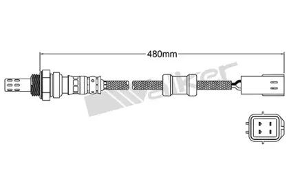 walkerproducts-25024067