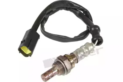 walkerproducts-25024067