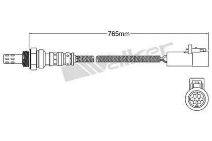 walkerproducts-25024070