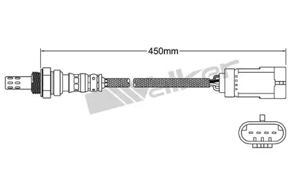 walkerproducts-250241011
