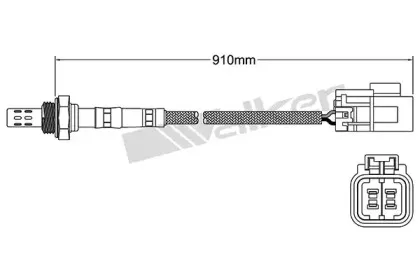 walkerproducts-25024102