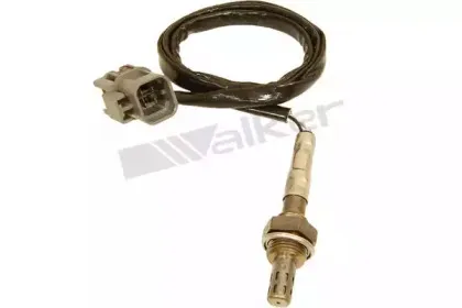 walkerproducts-25024102