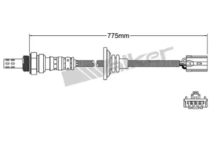 walkerproducts-250241020
