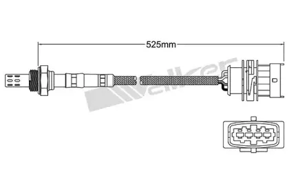 walkerproducts-250241024