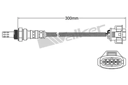 walkerproducts-250241030
