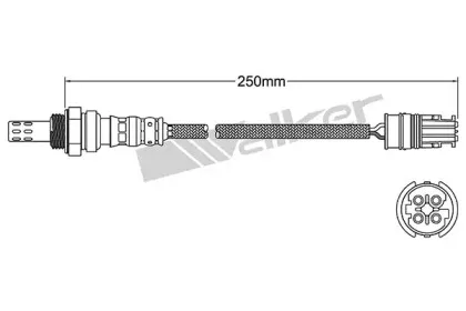 walkerproducts-250241038
