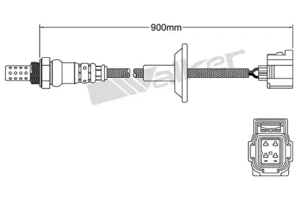 walkerproducts-250241050