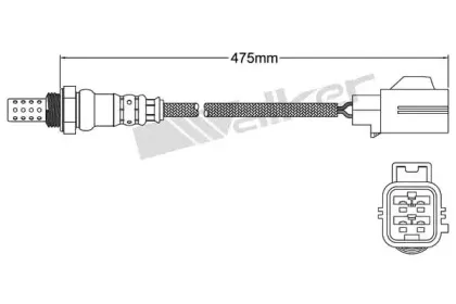 walkerproducts-250241055