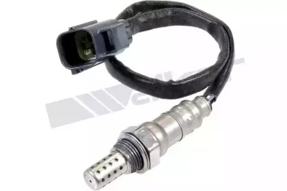 walkerproducts-250241055