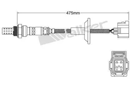 walkerproducts-250241056