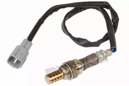 walkerproducts-25024106