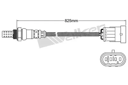 walkerproducts-250241060