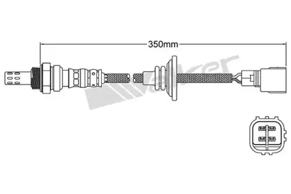 walkerproducts-250241061