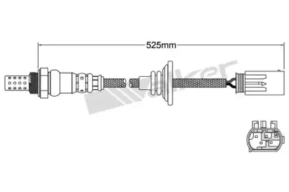 walkerproducts-250241069