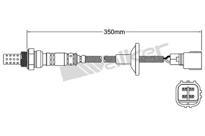 walkerproducts-25024107