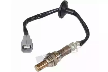 walkerproducts-25024107