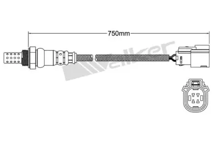 walkerproducts-250241075