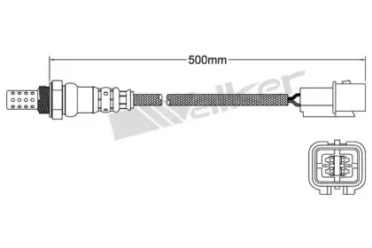 walkerproducts-250241084