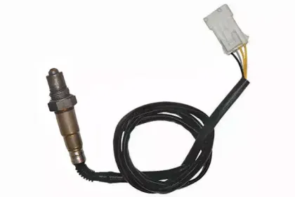 walkerproducts-250241122