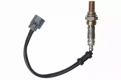 walkerproducts-250241123