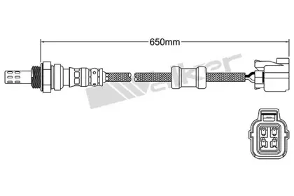 walkerproducts-25024121