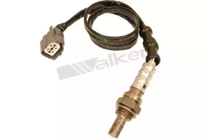walkerproducts-25024121