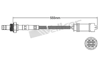walkerproducts-25024125