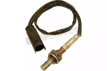 walkerproducts-25024125
