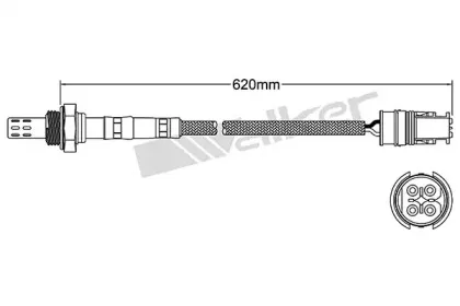walkerproducts-25024141