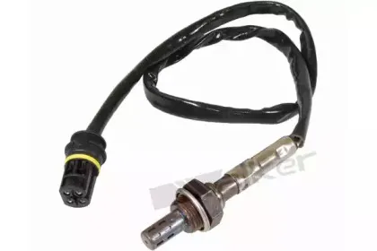 walkerproducts-25024141