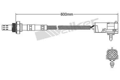 walkerproducts-25024144