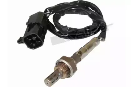 walkerproducts-25024144