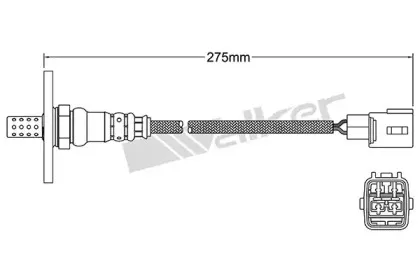 walkerproducts-25024157